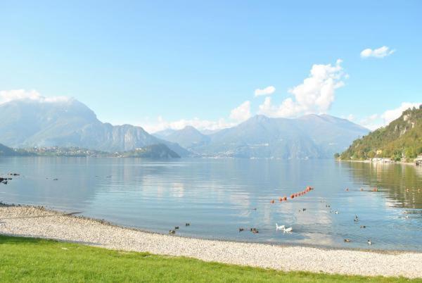 The Garden On The Lake Lierna Exterior photo